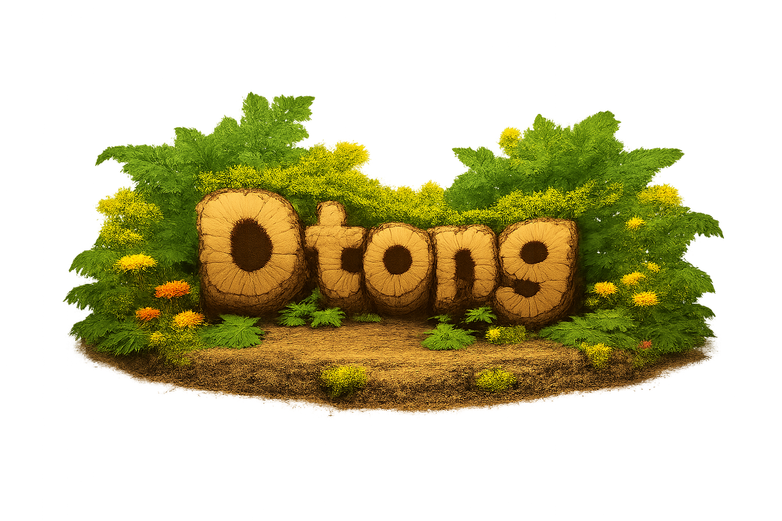 Fazenda Dtong